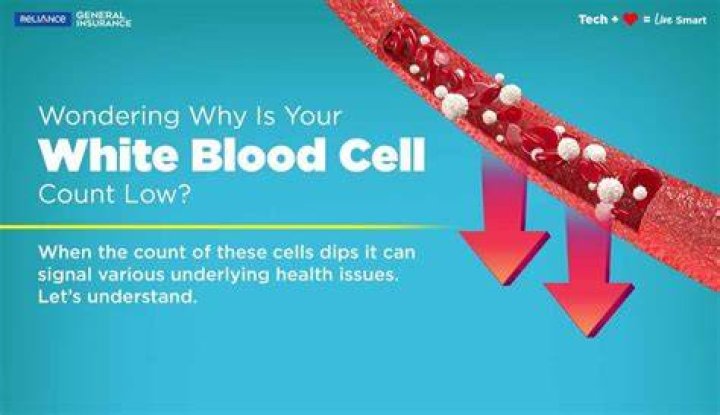 What happens when you have a low white blood cell count?