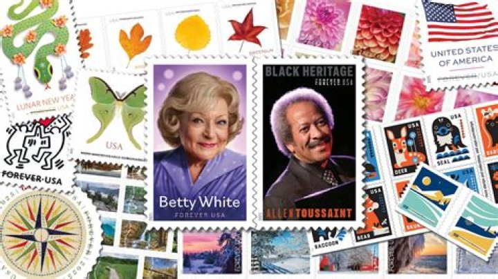 What is a name stamp line on a yearbook?