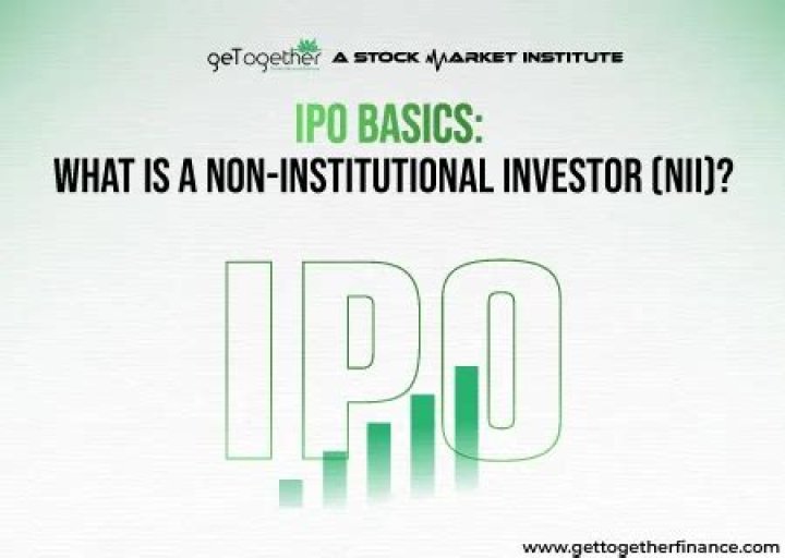What is a non institutional investor?