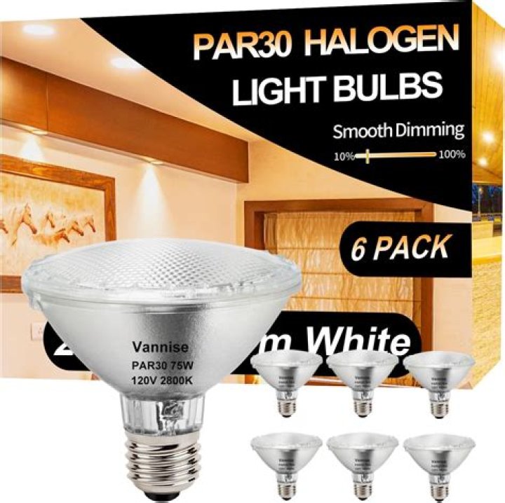 What is a PAR 36 bulb?