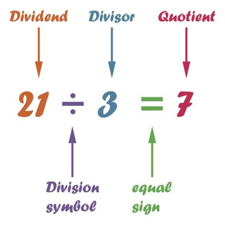 What is a synonym for divisor?