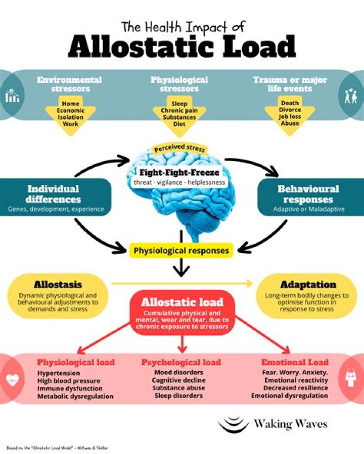 What is Allostasis in addiction?