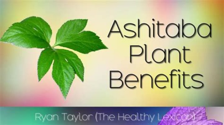 What is Ashitaba leaves used for?