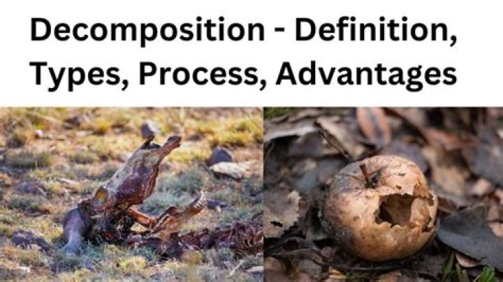 What is decomposition in simple words?