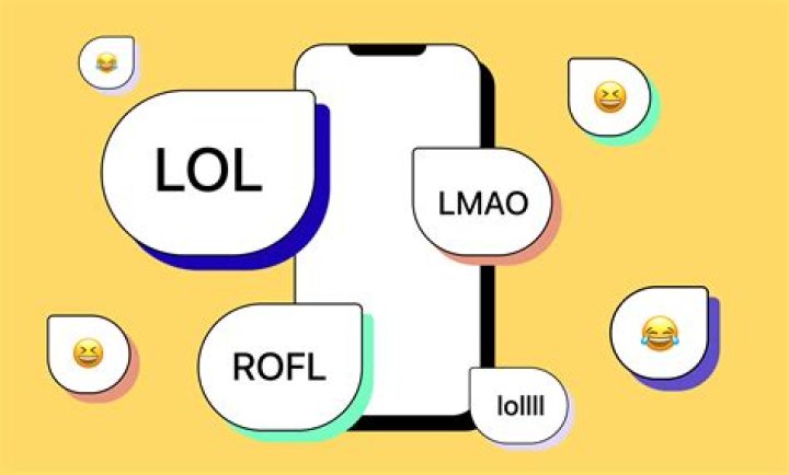 What is meant by member variable?