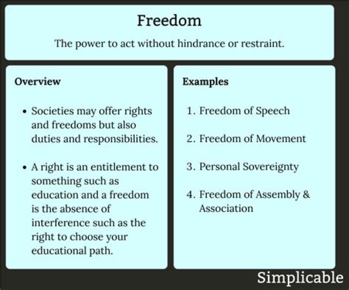What is one case that involves freedom of speech?
