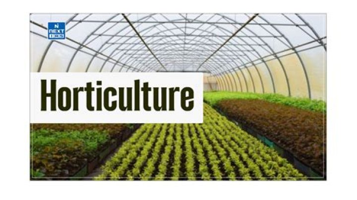 What is ornamental in horticulture?