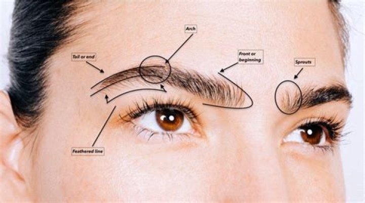What is raising one eyebrow called?