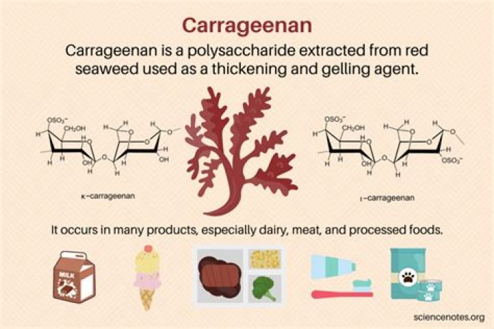 What is semi-refined carrageenan?