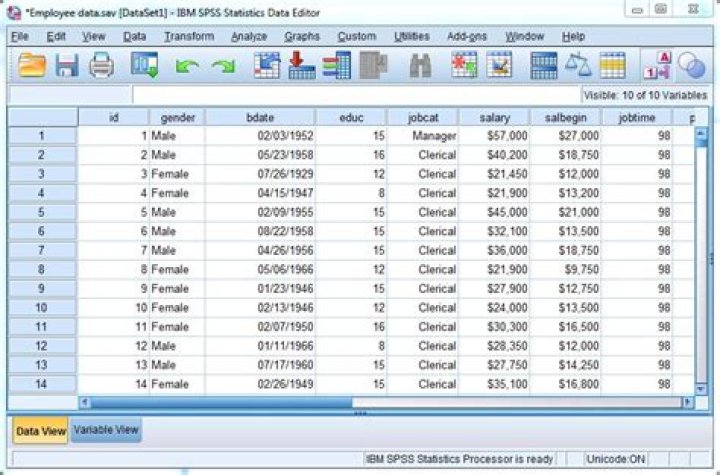 What is SPSS Statistics?