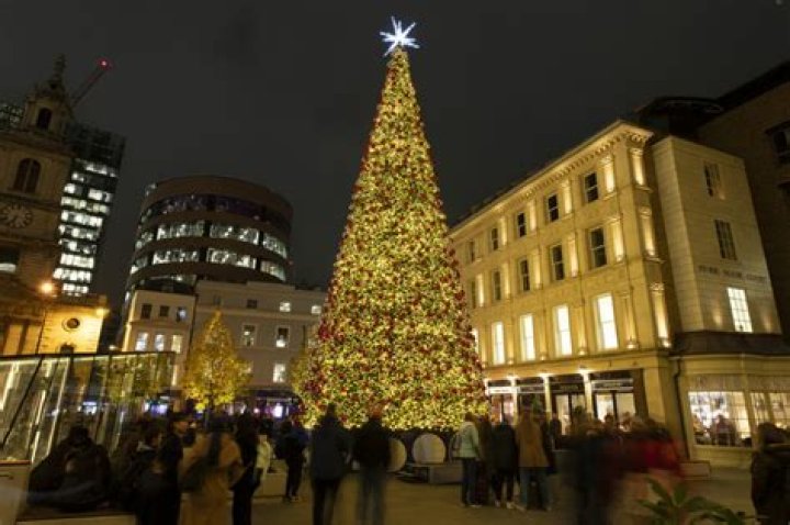 What is the biggest Christmas tree you can buy?