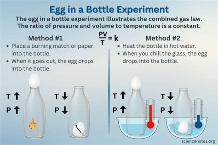 What is the experiment with egg?