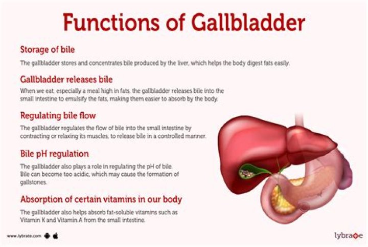 What is the gall bladders job?