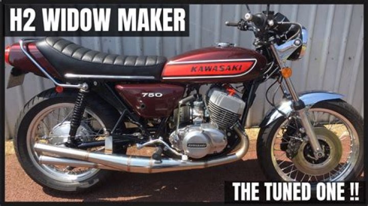What is the Kawasaki Widowmaker?