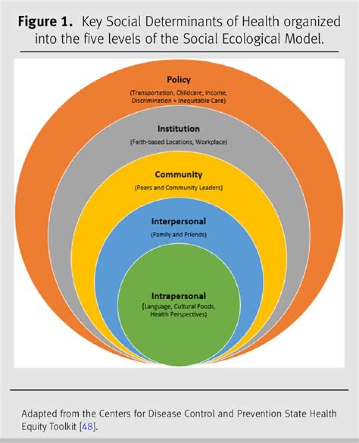 What is the main focus of the social model?