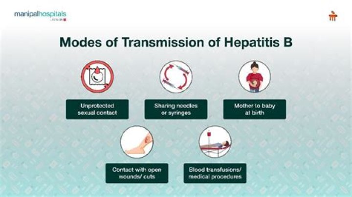 What is the main route of transmission of hepatitis?