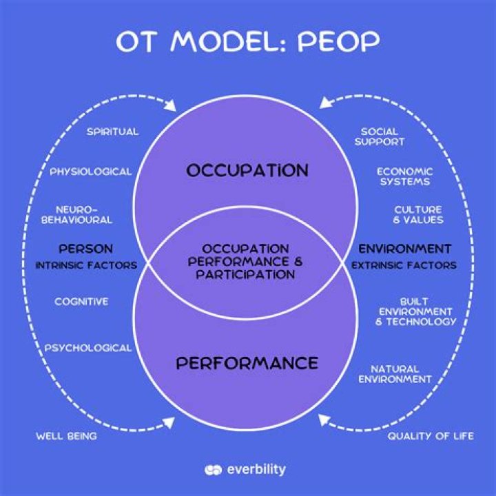 What is the occupational Performance Process Model?
