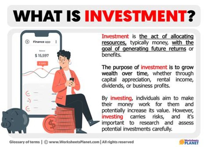 What is the real meaning of investment?