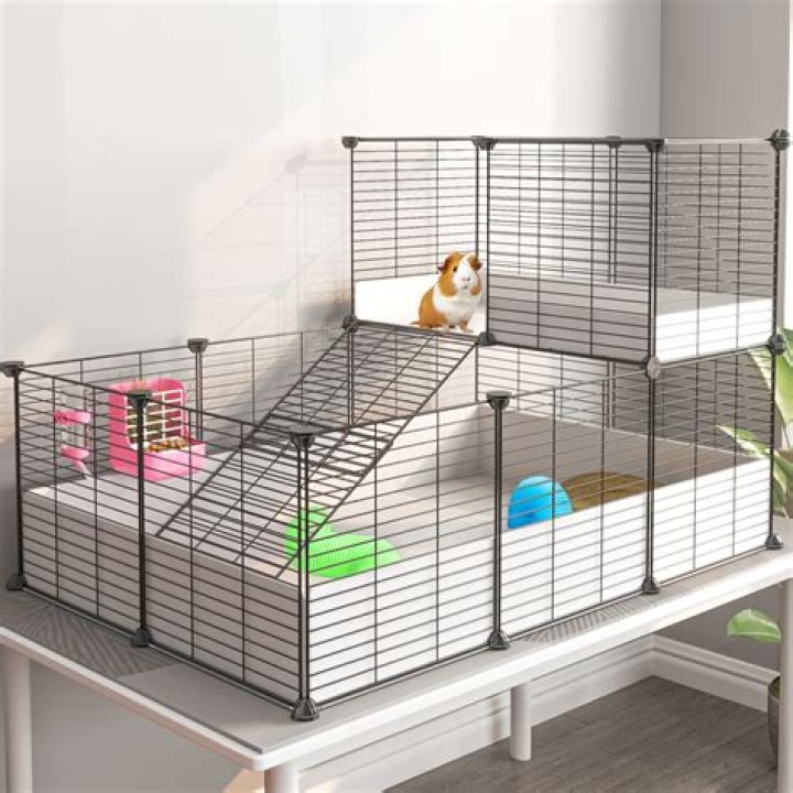 What kind of cage is best for a guinea pig?