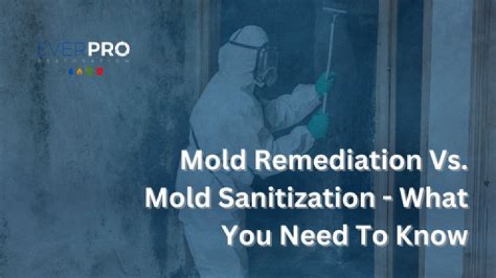 What level of mold requires remediation?