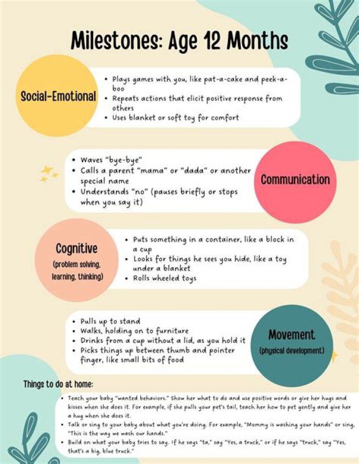 What Should toddlers be doing at 24 months?