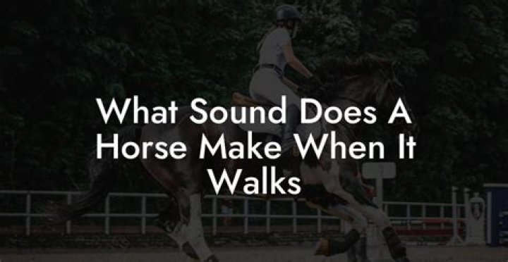 What sound does a horse make while running?