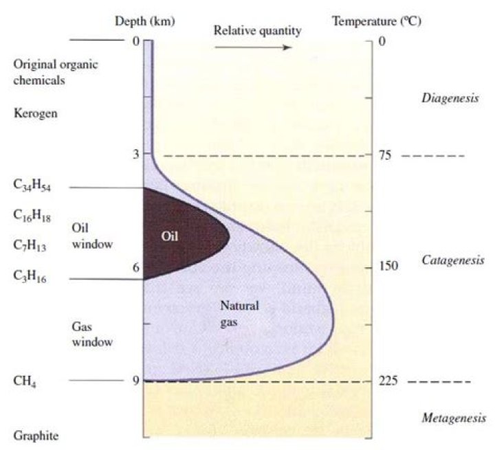 What thermogenic means?