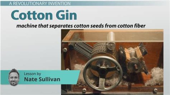 What was the cotton gin and who invented it quizlet?