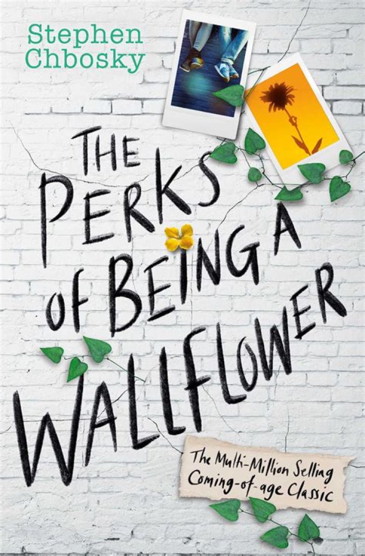 When was Perks of Being a Wallflower banned?