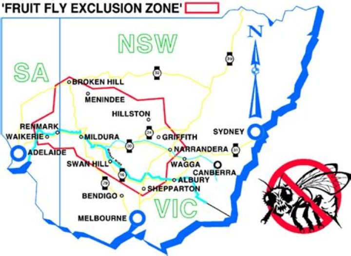 Where is fruit fly exclusion zone?