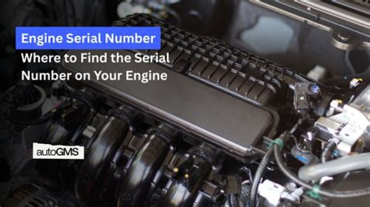 Where is my engine serial number?