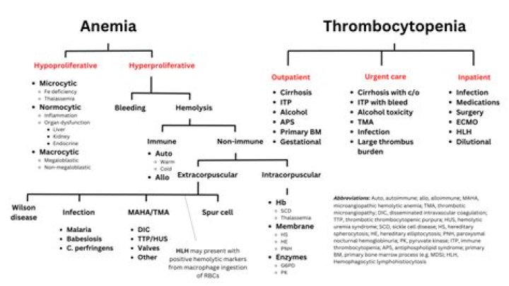 Which laboratory result is consistent with a diagnosis of thrombocytopenia?