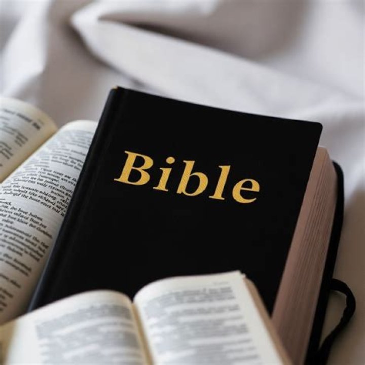Who made a comeback in the Bible?