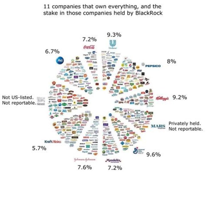 Who owns the sunshine company?