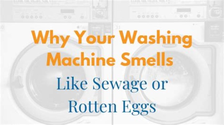 Why does my laundry sink smell like rotten eggs?