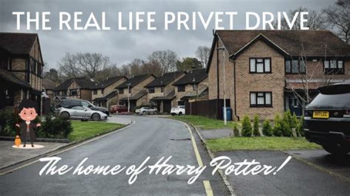 Why is the privet bad?